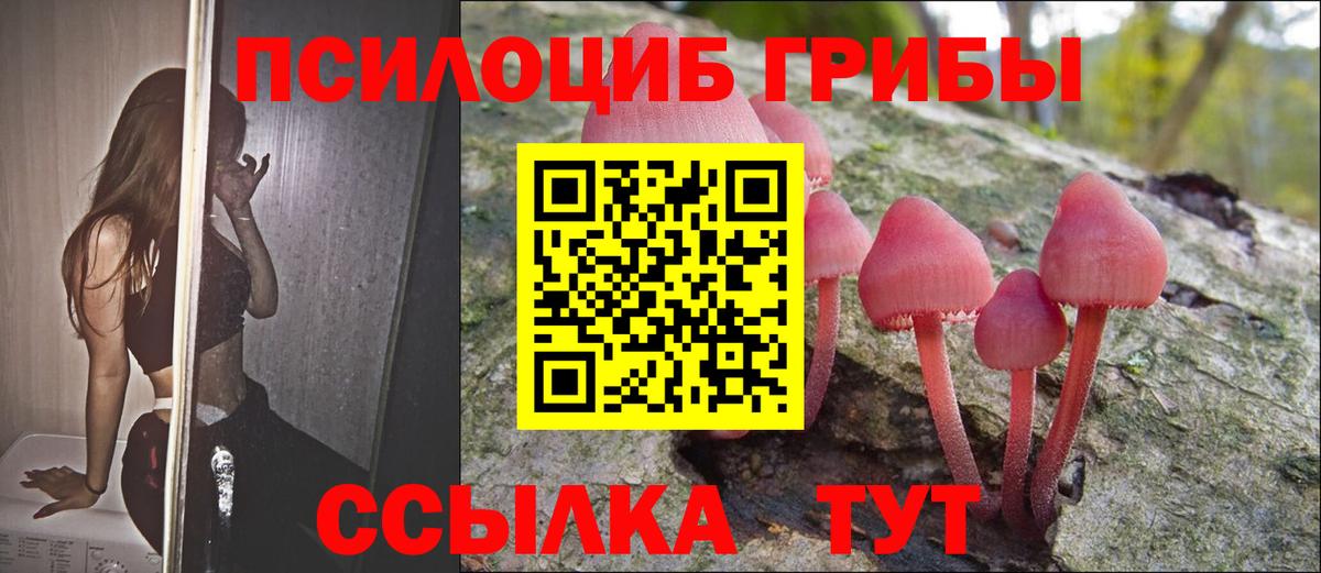 Чернушка  Галлюциногенные грибы GOLDEN TEACHER  Вход с VPN  Галлюциногенные грибы Cubensis 